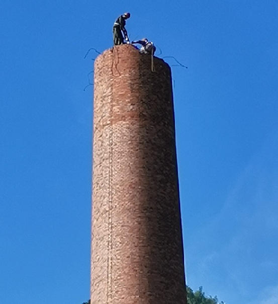 1710297288106550.jpg 776066e5cfea40fb0c66b7a7042be2e.jpg